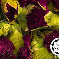 Pure Carnation (1KG)