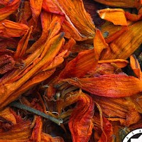 Pure Easter Lily ( 1 KG)