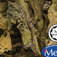 Pure Mulberry Leaf ( 500GM )