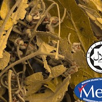 Pure Linden ( 1 KG )