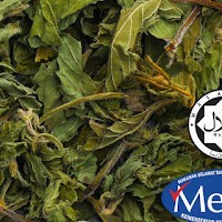 Pure Peppermint ( 500 GM)