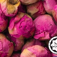 Pure Peony (500 GM)